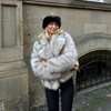 Chic Street Style Winter Fluffy Coat Gradient Faux Fur Luxury Jacket