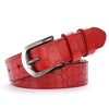 All-Match Stone Grain Leather Belt with Elegant Pin Buckle-Belts-Arimonz-Arimonz