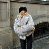 Chic Street Style Winter Fluffy Coat Gradient Faux Fur Luxury Jacket-Fuzzy Jackets-Arimonz-Arimonz