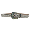 Diamond Rhinestone Belts Fashion Crystal Studded Pin Buckle Belt-Women's Belts-Arimonz-Arimonz