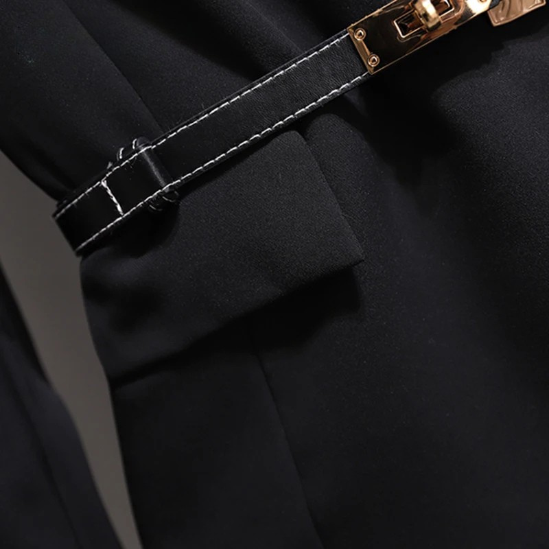 Pleated V-neck Long Sleeve Suit Dress With Belt Elegant Work Wear-Wear To Work Sets-Arimonz-Arimonz