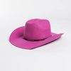 Winter Western Cowboy Hat Warm Wool Felt Fedoras Casual Studded Hat-Winter Hats-Arimonz-Arimonz