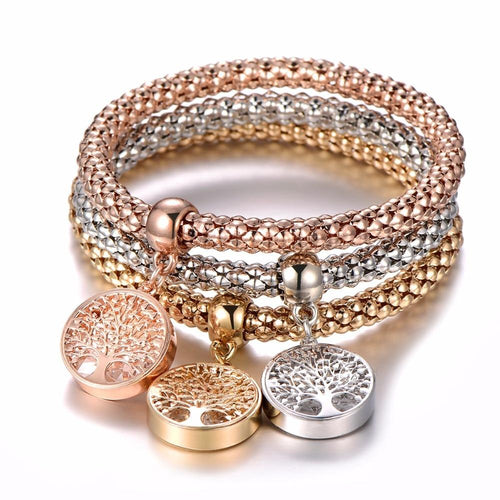 3pcs Crystal Charm Bracelet For Women Jewelry Bracelet Chain Jewelry-Braceletes-Arimonz-Arimonz