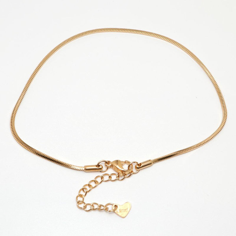 Anklet long Chain Anklet For Women Foot Bracelets Jewelry for Women-Anklets-Arimonz-Arimonz