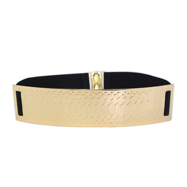 Belts For Woman Gold Silver Brand Belt Classy Elastic 5 Colors Belt-Belts-Arimonz-Style 2 gold-M-Arimonz