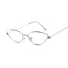 Cat Eye Sunglasses for Women Retro Vintage Shades For Women-Sunglasses-Arimonz-SilverTrans-Arimonz