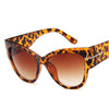 Cat Eye Women Sunglasses Female Gradient Points Sun Glasses-Sunglasses-Arimonz-Leopard-Arimonz