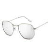 Classic Vintage Sunglasses-Sunglasses-Arimonz-Silver Silver-Arimonz