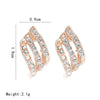 Crystal Stud Earrings-Earrings-Arimonz-Arimonz