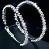 Earrings - Crystal Round Hoop Earrings
