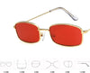 Elizabeth Tiny Sunglasses-Sunglasses-Arimonz-Arimonz