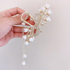 Hair Clip Women Fashion Pearl Tassel Clip Hairpin Hair Accessories-Hair Accessories-Arimonz-Arimonz