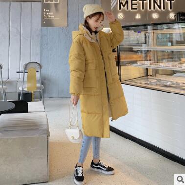 Hooded Coat Long Parka-Bomber Coats-Arimonz-Gold-S-Arimonz