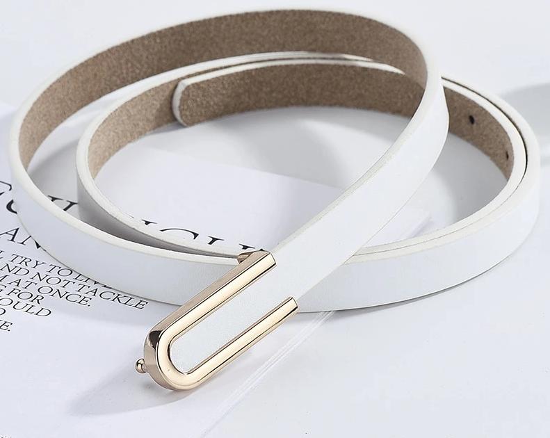 Nyla Buckle Retro Belt-Belts-Arimonz-Arimonz