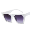 Retro Outdoor Sunglasses-Sunglasses-Arimonz-Arimonz