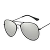 Retro Outdoor Sunglasses-Sunglasses-Arimonz-Black Silver-Arimonz