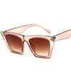 Retro Outdoor Sunglasses-Sunglasses-Arimonz-Champagne tea-Arimonz
