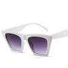 Retro Outdoor Sunglasses-Sunglasses-Arimonz-White-Arimonz