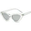 Retro Triangular Cat Sunglasses-Sunglasses-Arimonz-Transparent-Arimonz