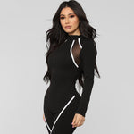 Sporty Zipper Turtleneck Jumpsuits Women Full Sleeve Striped Rompers-Night Out Jumpsuits & Rompers-Arimonz-Arimonz
