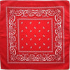 Square Paisley Bandanas Ride Mask Headbands For Women Bands Scarfs-Hair Accessories-Arimonz-Arimonz