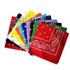 Square Paisley Bandanas Ride Mask Headbands For Women Bands Scarfs-Hair Accessories-Arimonz-Arimonz