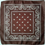 Square Paisley Bandanas Ride Mask Headbands For Women Bands Scarfs-Hair Accessories-Arimonz-coffee-Arimonz