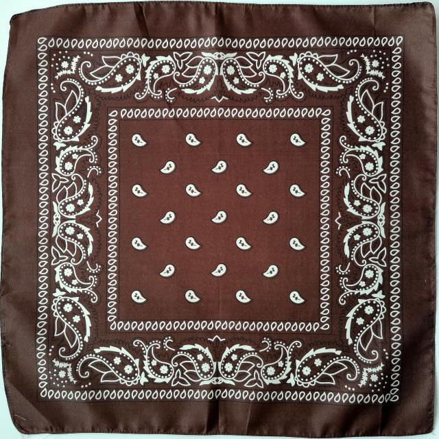 Square Paisley Bandanas Ride Mask Headbands For Women Bands Scarfs-Hair Accessories-Arimonz-coffee-Arimonz