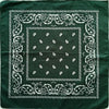 Square Paisley Bandanas Ride Mask Headbands For Women Bands Scarfs-Hair Accessories-Arimonz-dark green-Arimonz