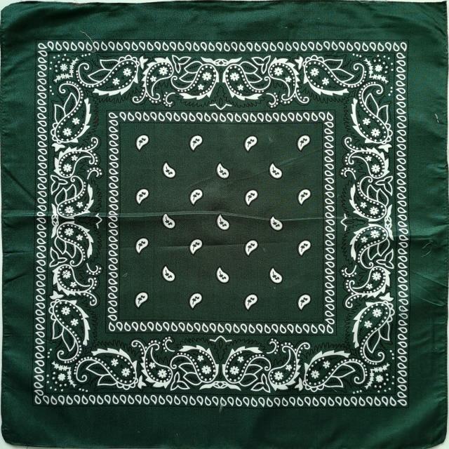 Square Paisley Bandanas Ride Mask Headbands For Women Bands Scarfs-Hair Accessories-Arimonz-dark green-Arimonz