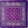 Square Paisley Bandanas Ride Mask Headbands For Women Bands Scarfs-Hair Accessories-Arimonz-dark purple-Arimonz