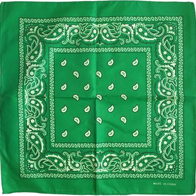 Square Paisley Bandanas Ride Mask Headbands For Women Bands Scarfs-Hair Accessories-Arimonz-green-Arimonz