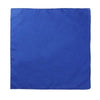 Square Paisley Bandanas Ride Mask Headbands For Women Bands Scarfs-Hair Accessories-Arimonz-Plain Blue-Arimonz