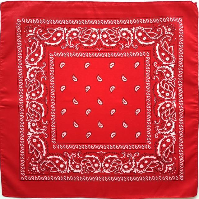 Square Paisley Bandanas Ride Mask Headbands For Women Bands Scarfs-Hair Accessories-Arimonz-red-Arimonz