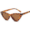 Sunglasses - Retro Triangular Cat Sunglasses