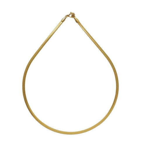 Trendy Street Style Snake Chain-Necklaces-Arimonz-Arimonz