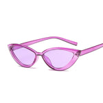 Vintage Cat Eye Sunglasses for Women Fashionable Sunglasses-Sunglasses-Arimonz-Arimonz