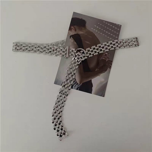 Waist Chain Elegant Silver Metal Chain Strap Pin Buckle Waist Chain-Belts-Arimonz-Arimonz