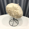 Winter Wool Beret With Lace And Pearls Female Wool Cap-Winter Hats-Arimonz-off white-Arimonz