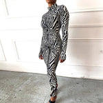 Zebra Print Mesh Zip Up Jumpsuit Women Outfits Stretchy Romper-Night Out Jumpsuits & Rompers-Arimonz-Arimonz